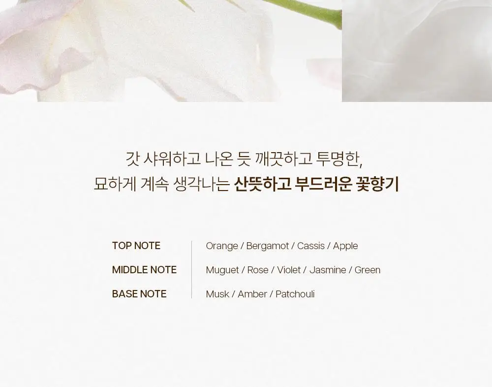 [5월 올영픽/NEW 기획 런칭] 투크 실루엣 헤어 퍼퓸 68ml 기획 5종 택1 상세페이지 11